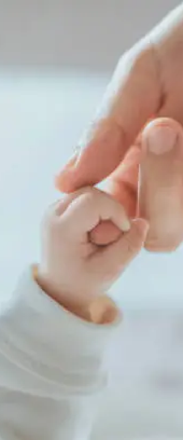 OPN学苑